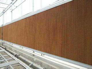 �߲˴���ˮ��ǽ