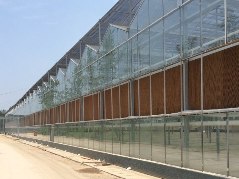 ���ܻ�������