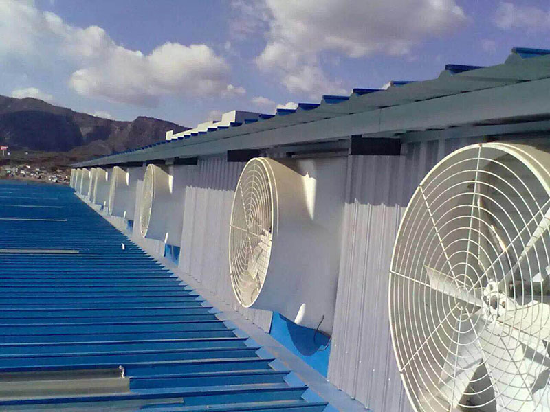 ���ܻ�������