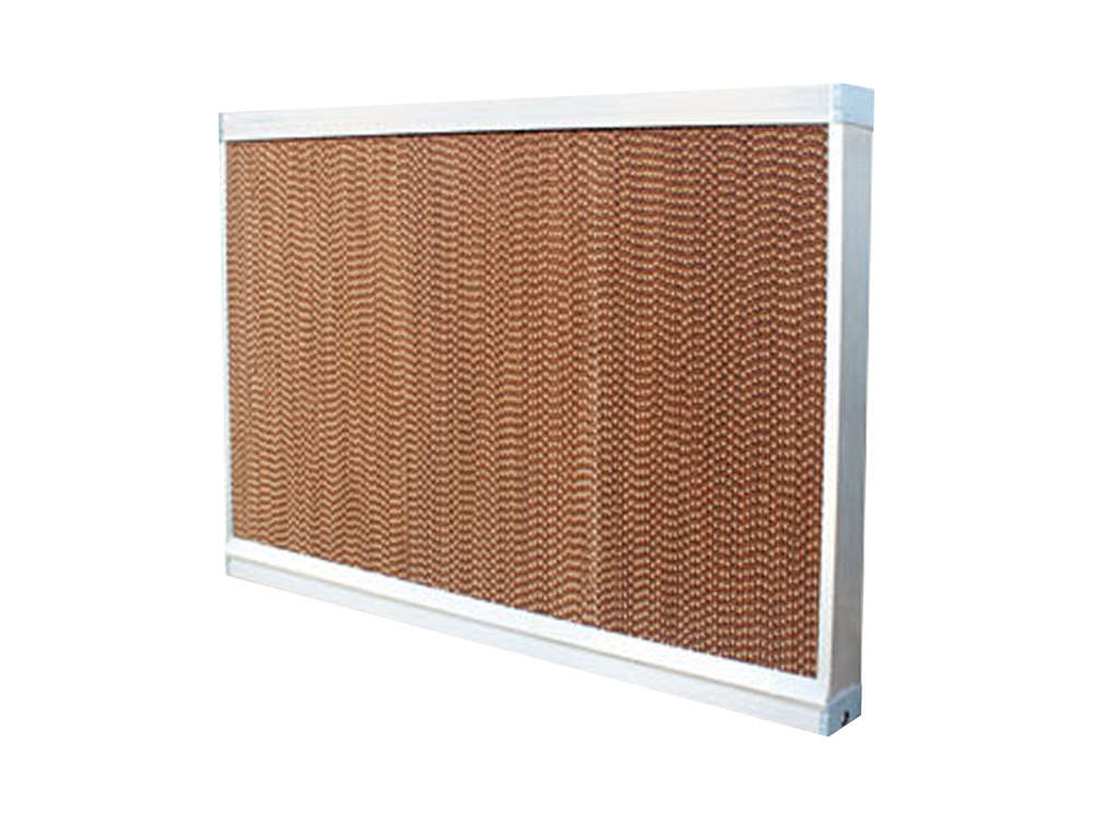 ����������ֳ��һ����ô�����أ�