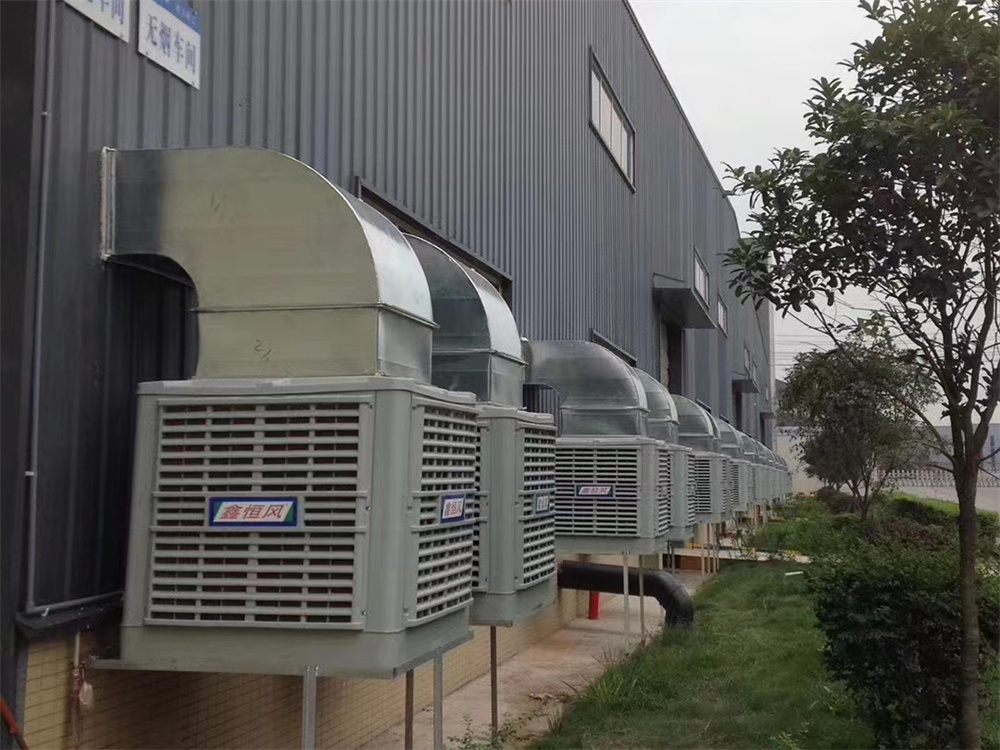 ���ܻ���������ôѡ��������